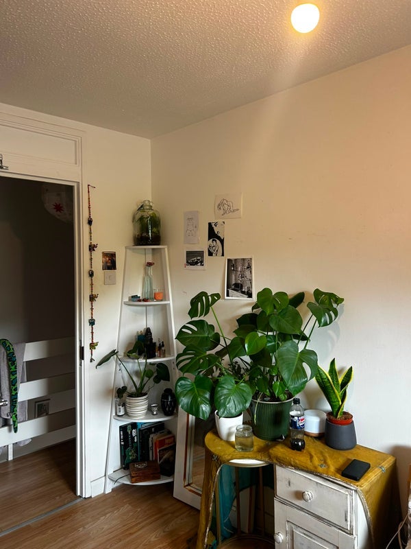 Room Mary Datchelor Close in Greater London