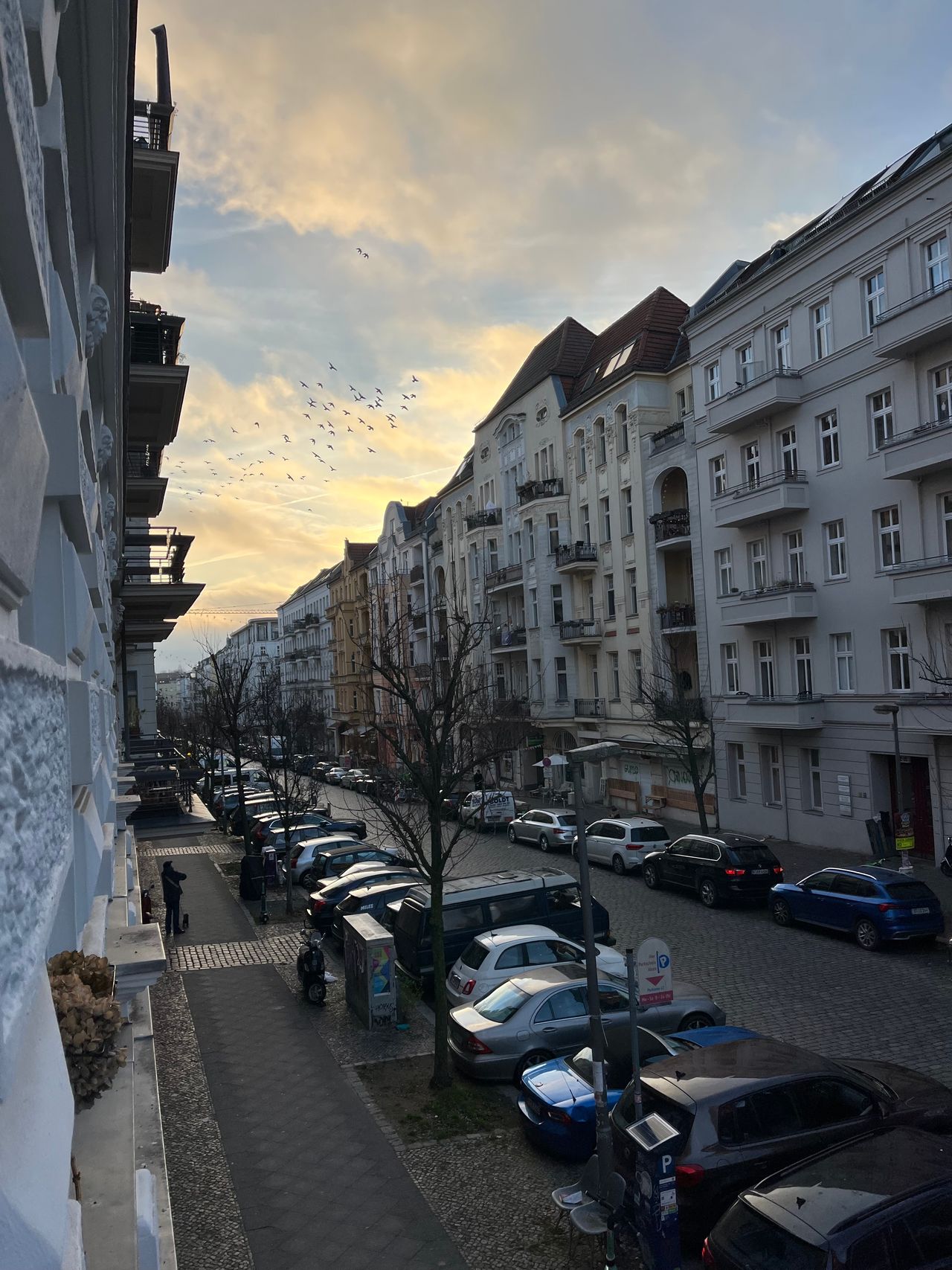 Wohnung Immanuelkirchstraße in Berlin
