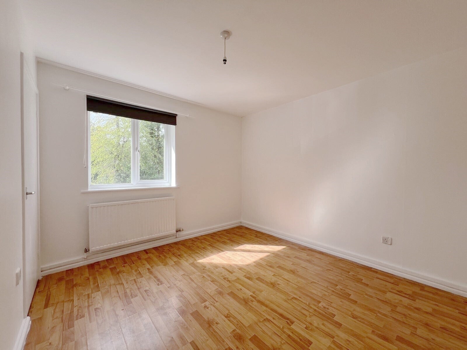 Flat Fox Wood in Swindon