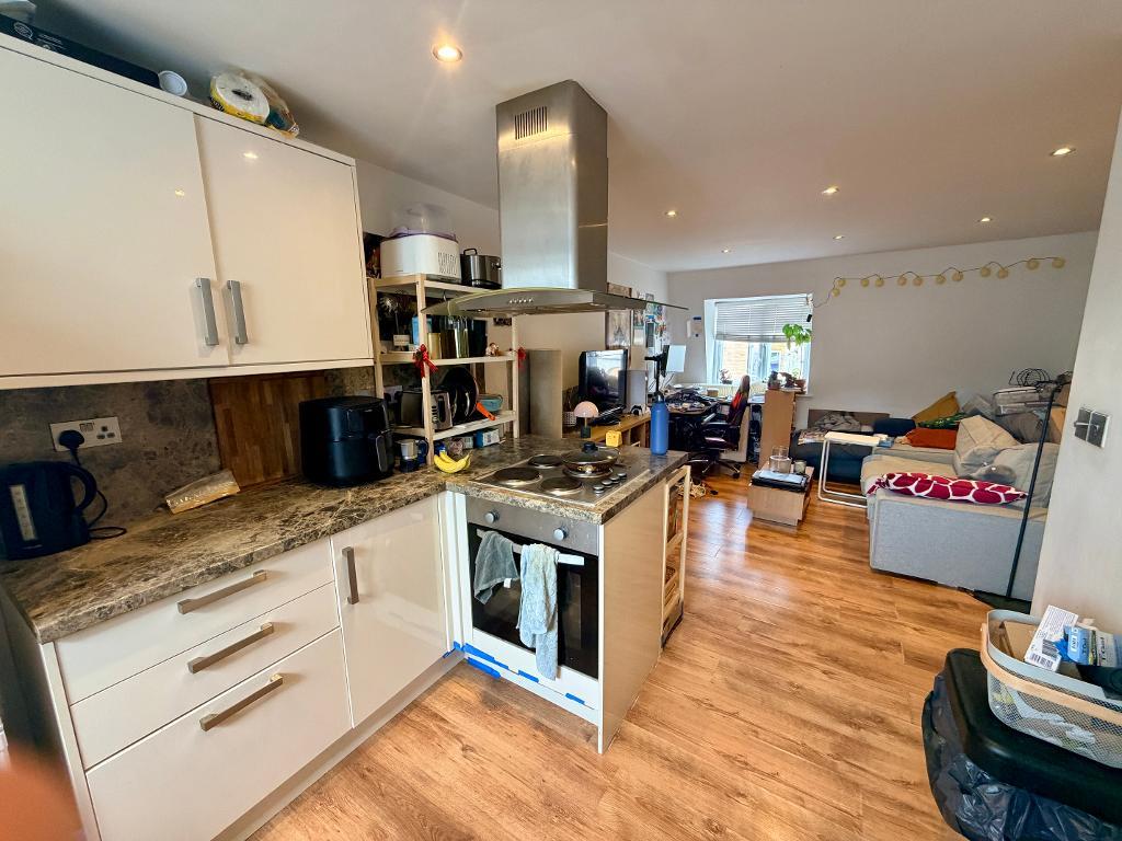 Flat Rye Lane in Greater London