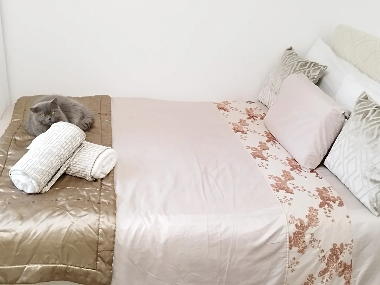 Room John Ruskin Street in Greater London