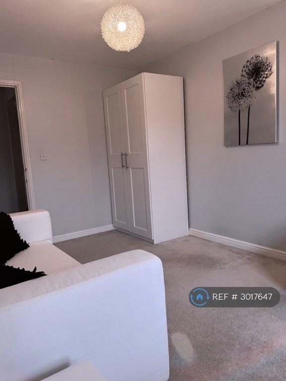 Room Ypres Road in Colchester
