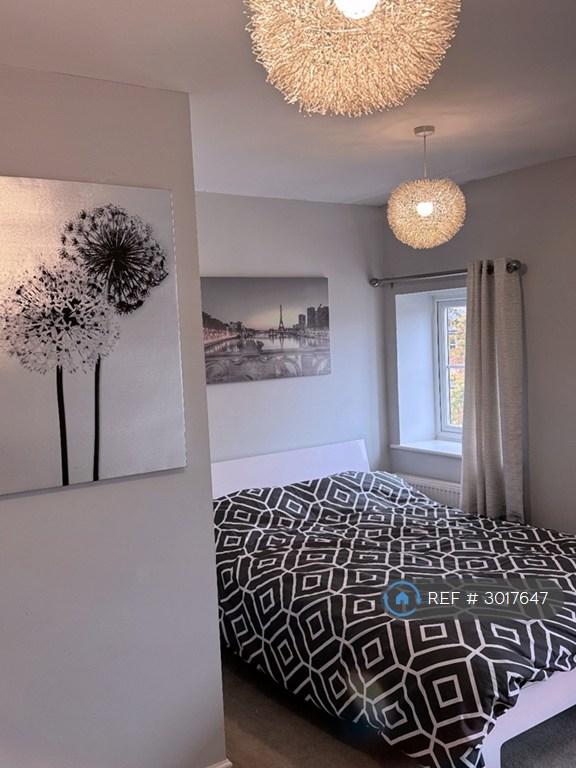 Room Ypres Road in Colchester