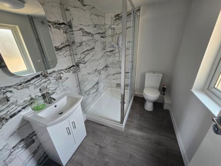 Flat Curzon Street in Maryport