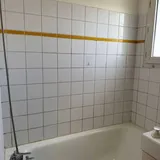 Appartement Avenue Roger Salengro à Villeurbanne
