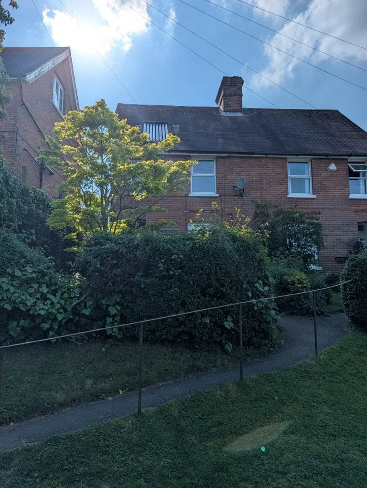 House Shrub Lane in Rother