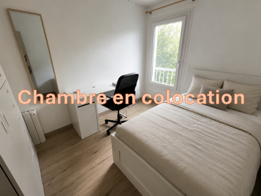 Room Rue Challemel-Lacour in Lyon
