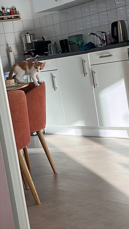 Appartement IJslandpark 9