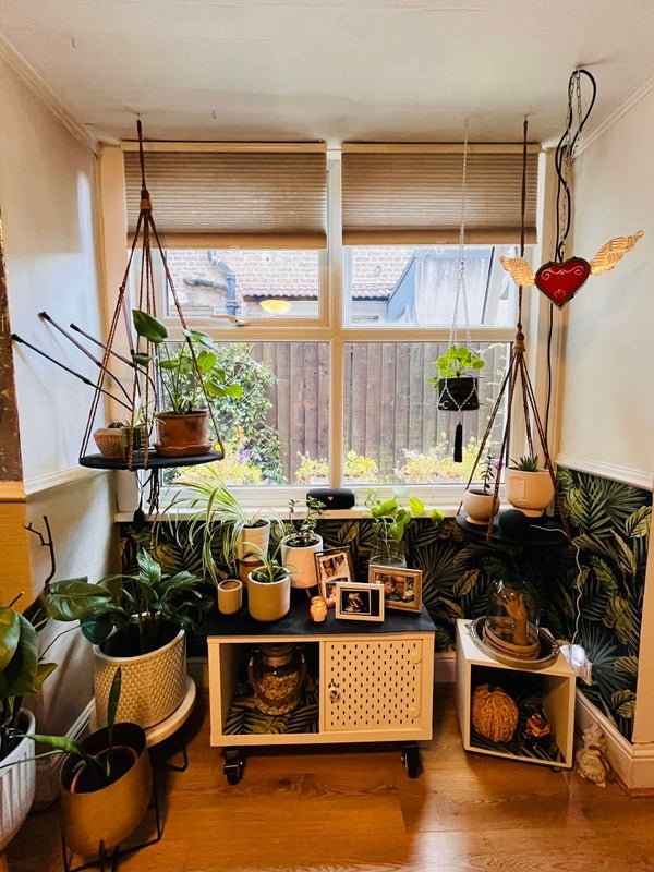 Room Elmsdale Road in Greater London