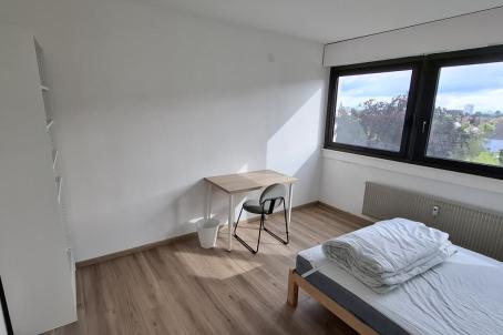 Chambre Rue Prosper Mérimée à Strasbourg