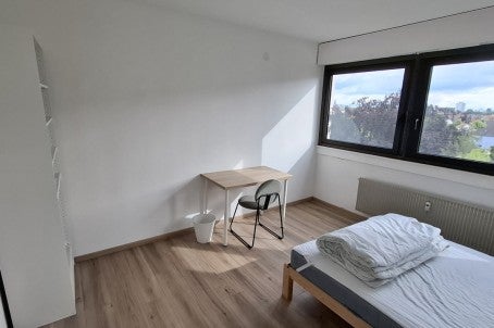 Chambre Rue Prosper Mérimée à Strasbourg