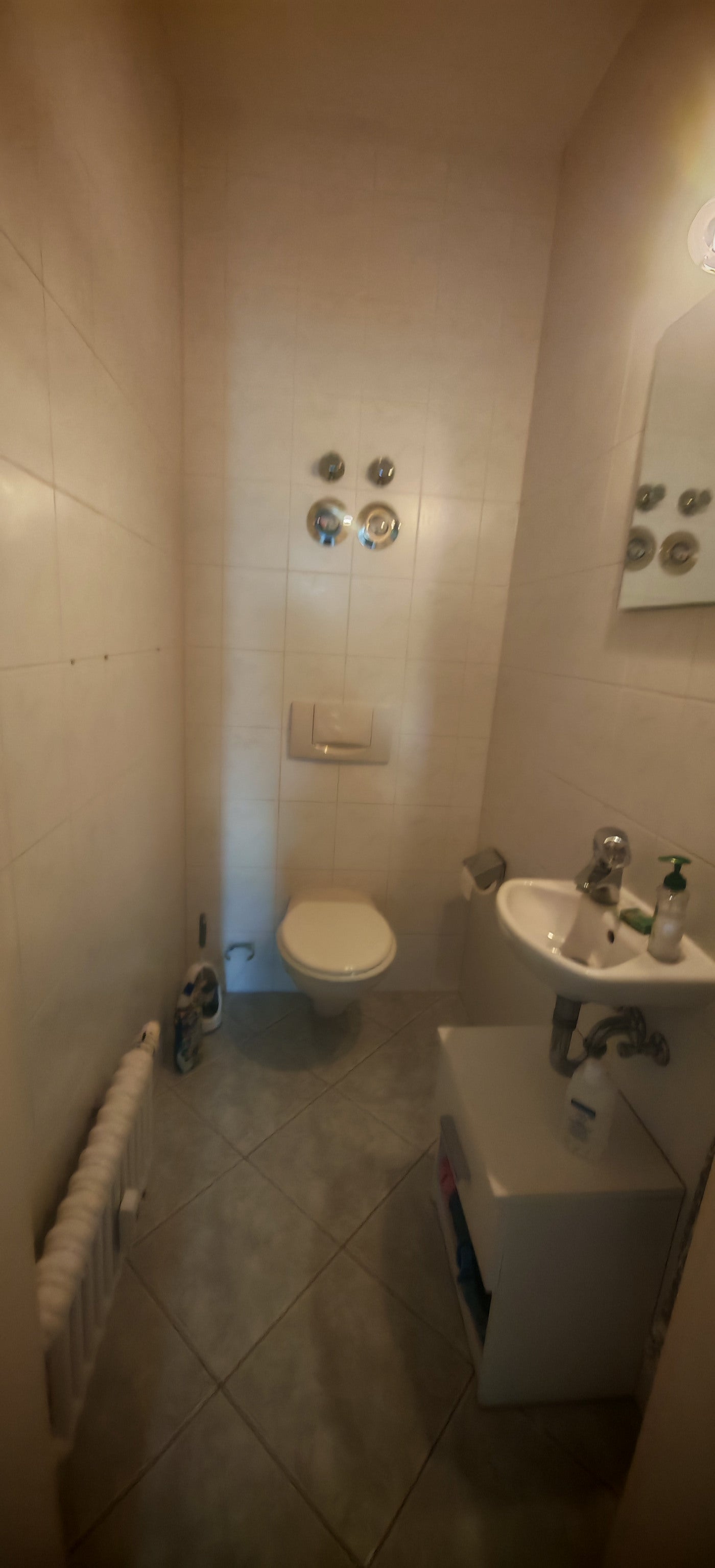 Wohnung Schlüterstraße in Dresden