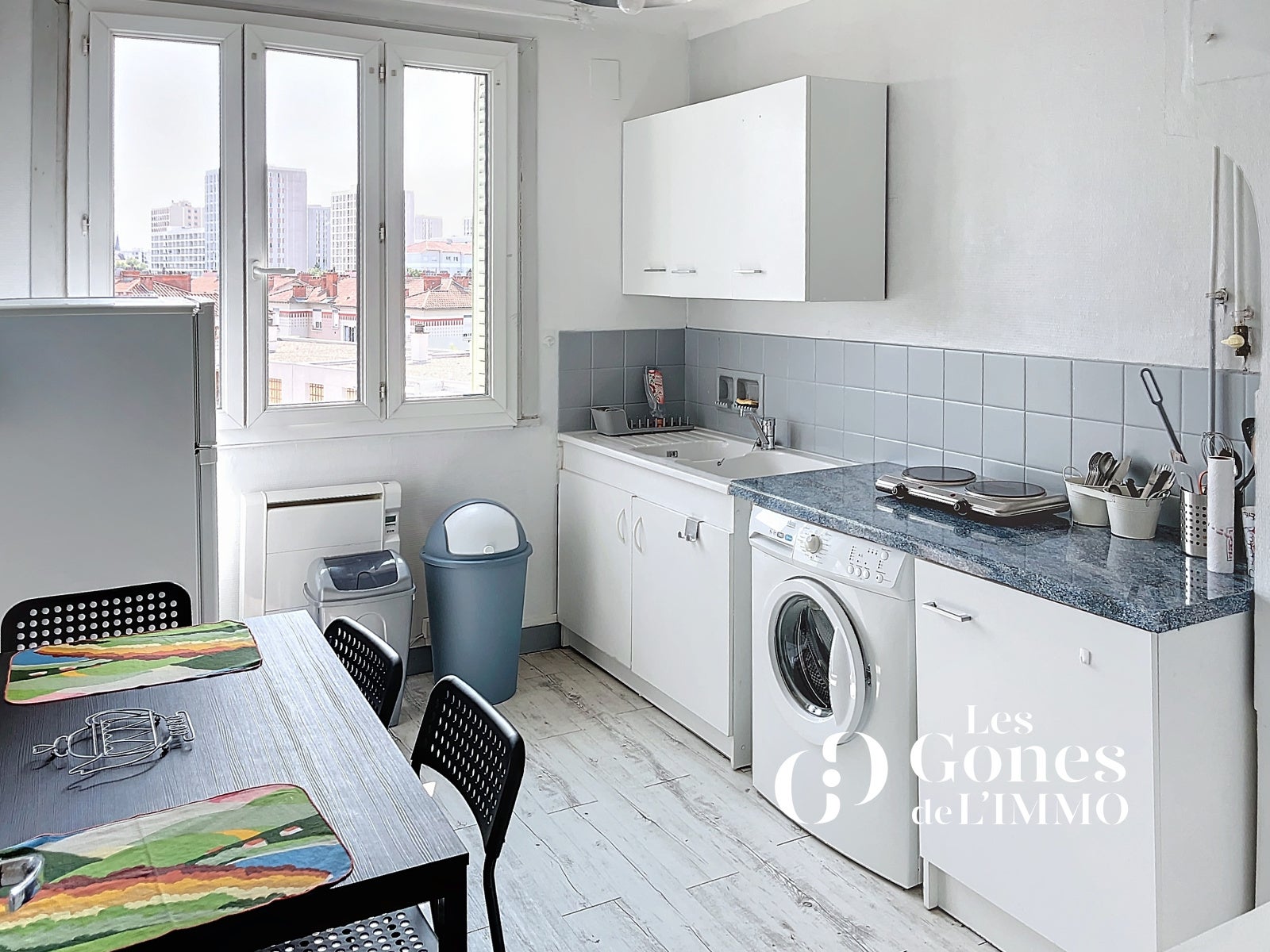 Appartement Cours Émile Zola à Villeurbanne
