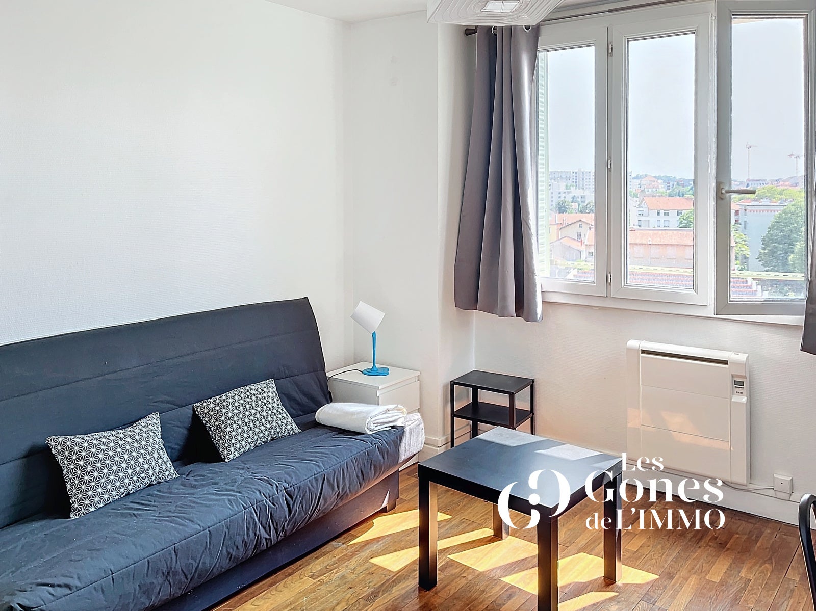 Appartement Cours Émile Zola à Villeurbanne