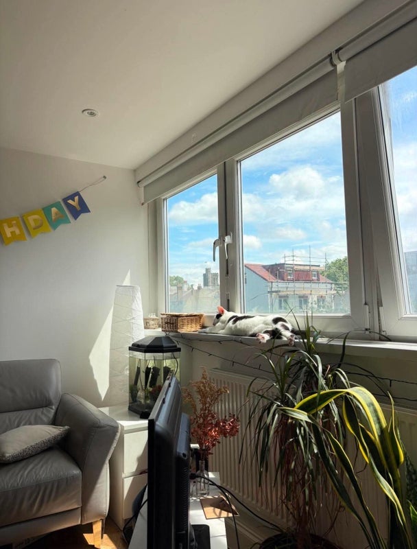 Room Campsbourne Road in Greater London