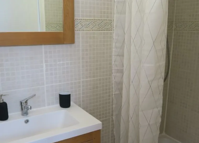 Appartement Cours Émile Zola à Villeurbanne