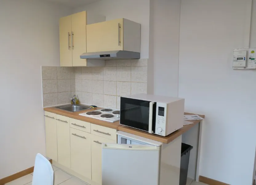 Flat Cours Émile Zola in Villeurbanne