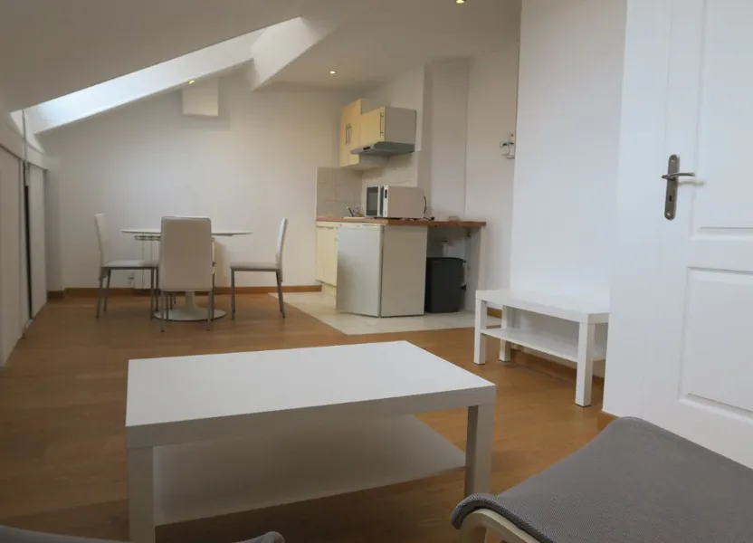 Flat Cours Émile Zola in Villeurbanne