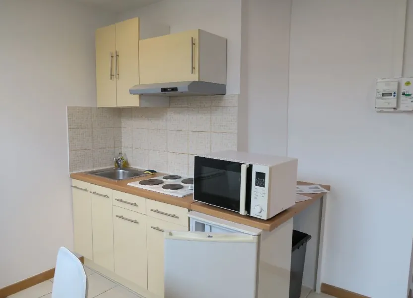 Appartement Cours Émile Zola à Villeurbanne