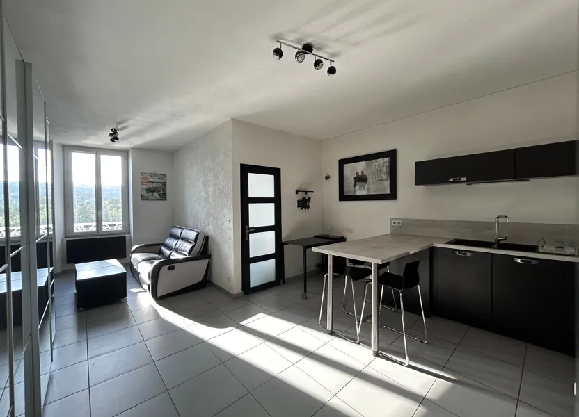 Flat Quai du Rhône in Saint-Romain-en-Gal