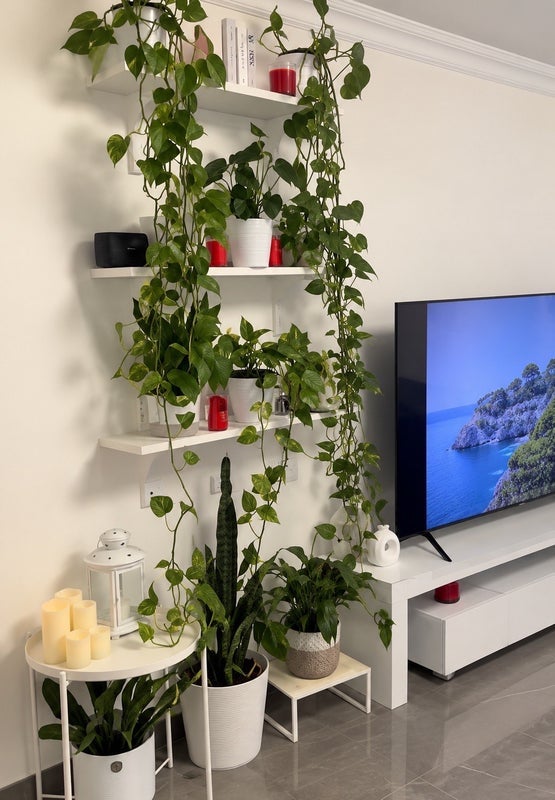 Room Plender Street in Greater London