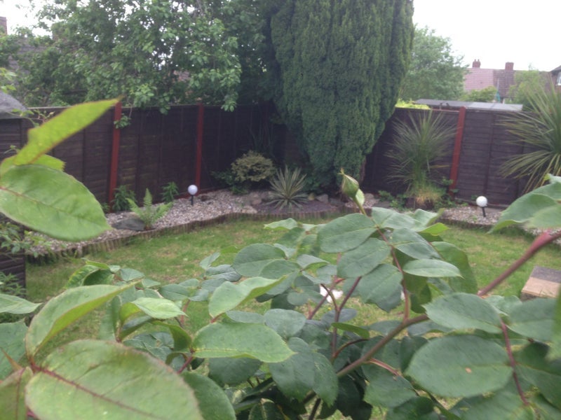 Room Bullfields Close in Sandwell