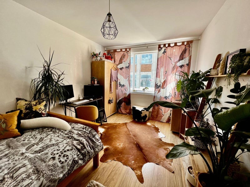Room Mayes Road in Greater London