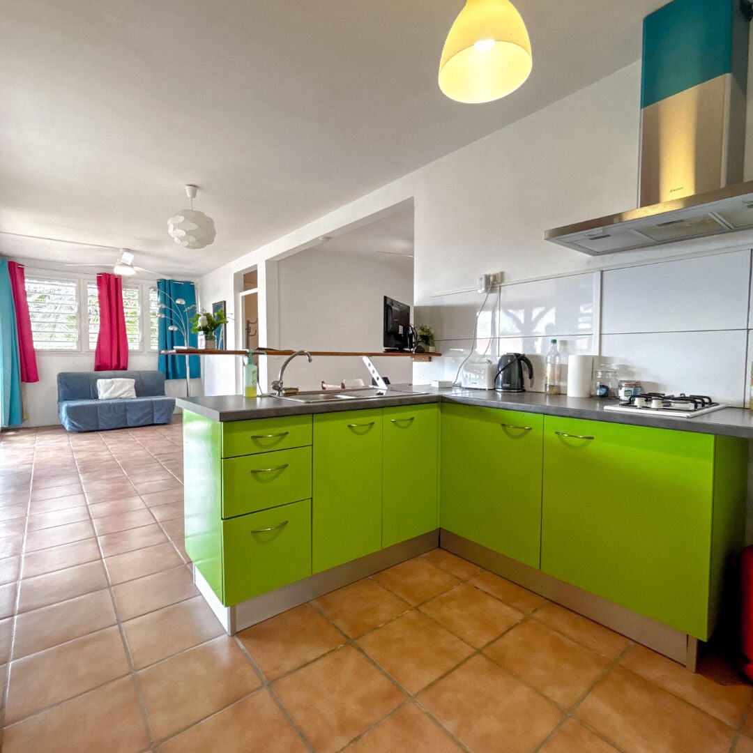 Appartement Chemin de Baringthon à Ducos