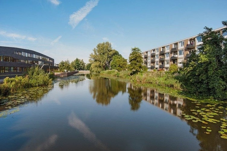 Flat Frieslandstraat