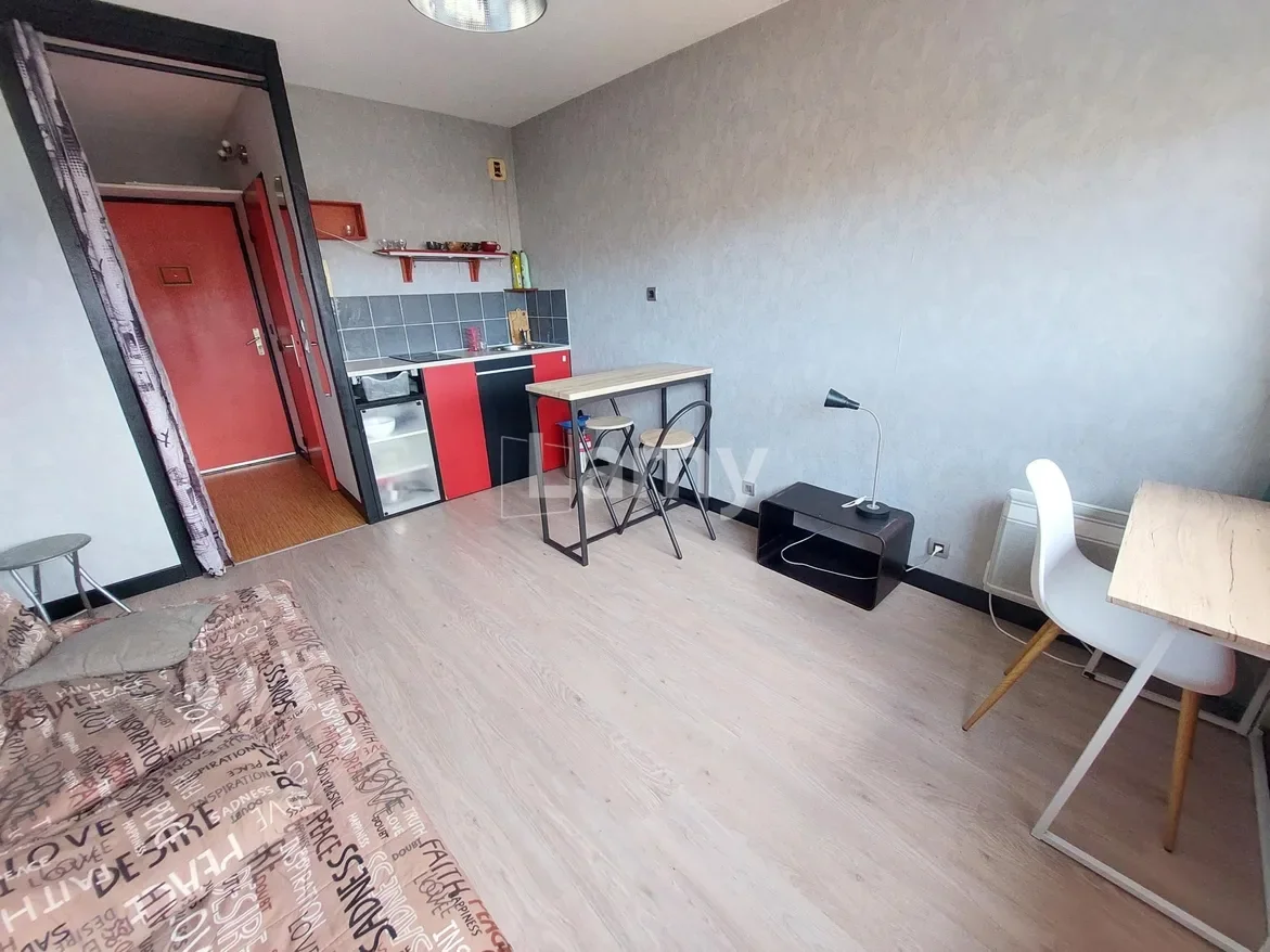 Flat Rue Ronsard in Pau