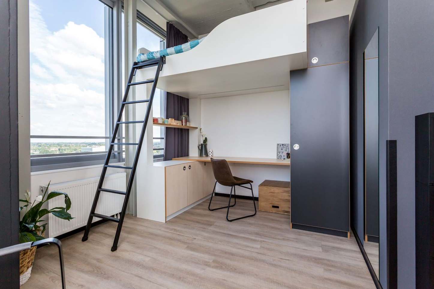 Appartement De Lampendriessen 31 819 in Eindhoven