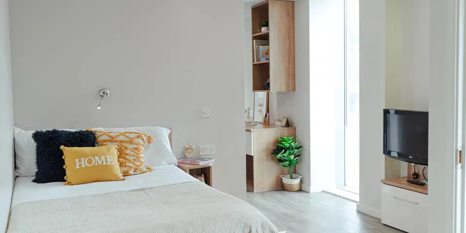 Room Great Suffolk Street in Greater London