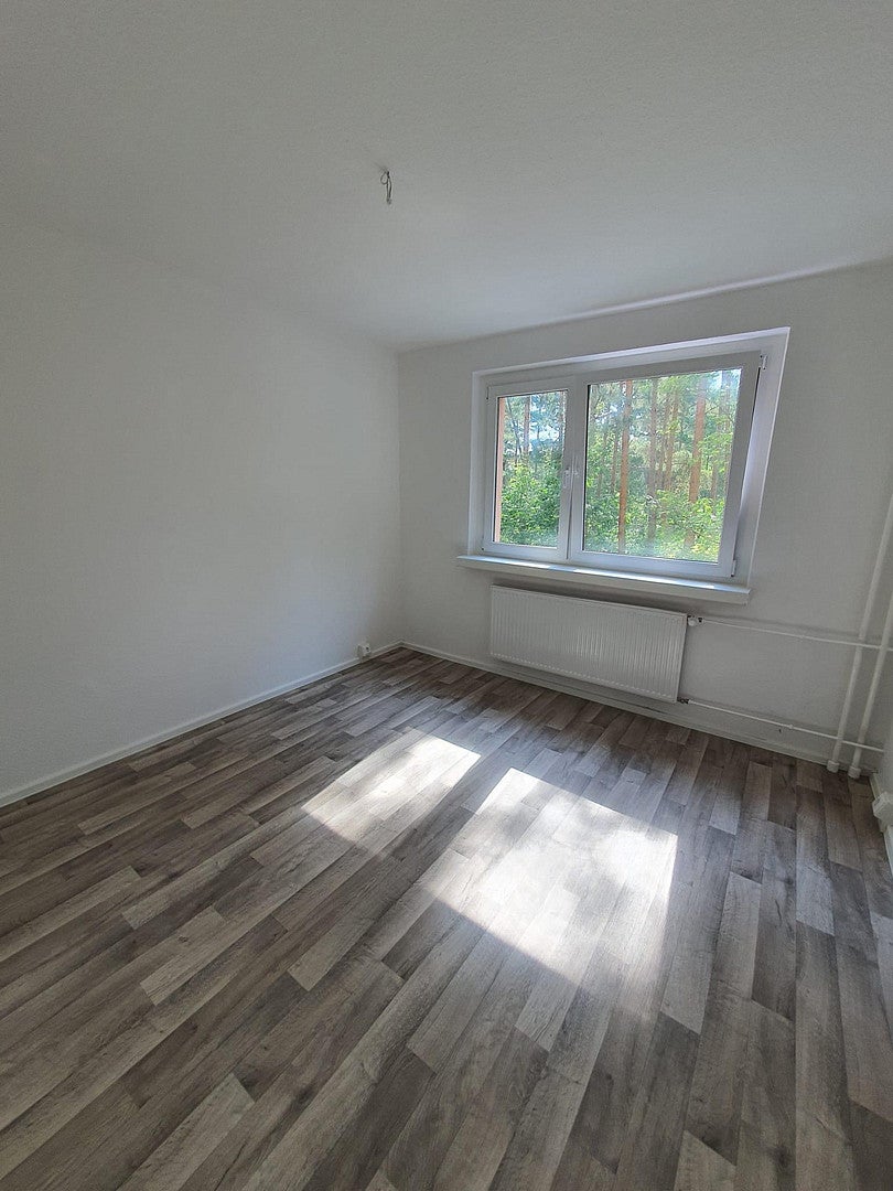 Wohnung Walddrehna Pilzheide in Walddrehna