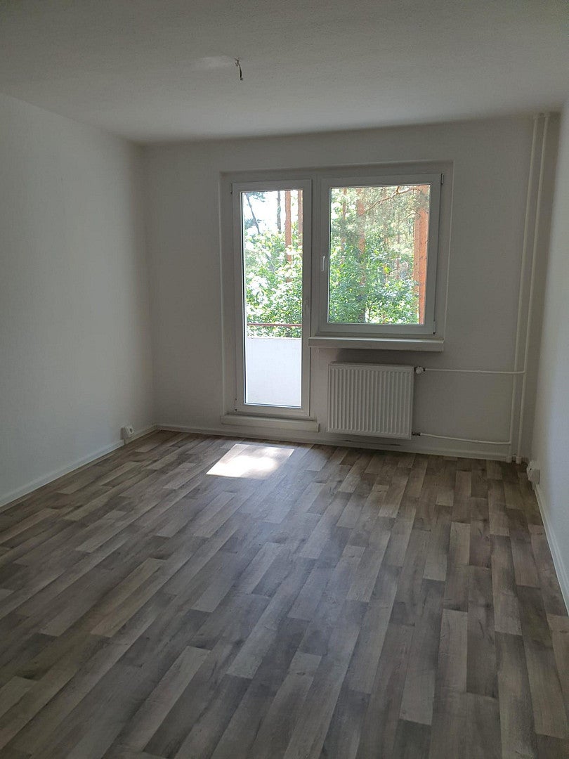 Wohnung Walddrehna Pilzheide in Walddrehna