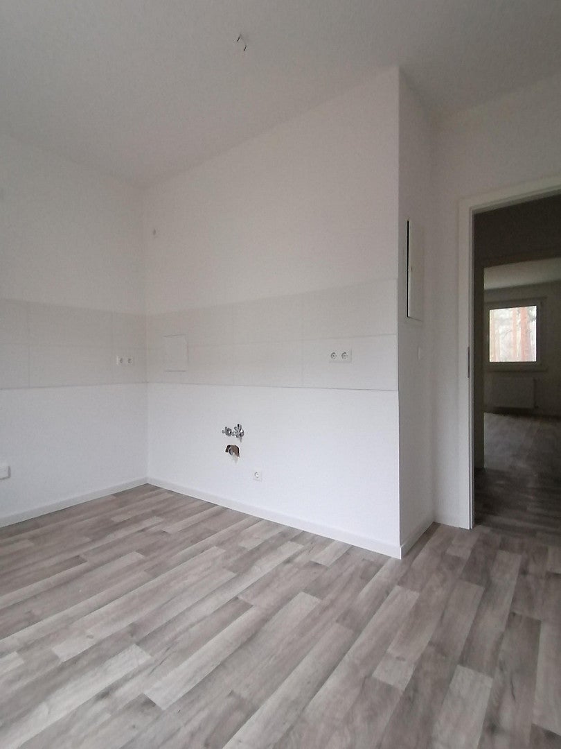 Wohnung Walddrehna Pilzheide in Walddrehna