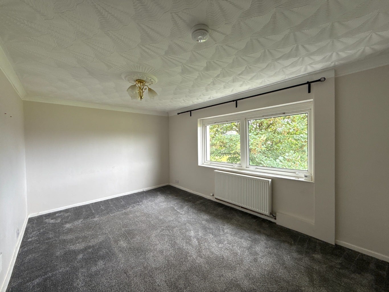 Flat Ryewraes Road in Linwood