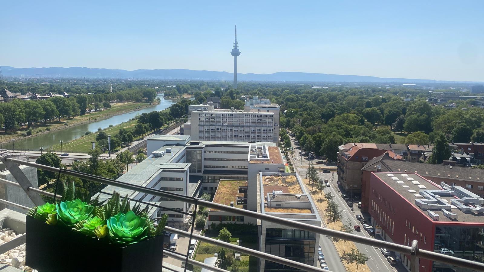 Wohnung Collinistraße in Mannheim