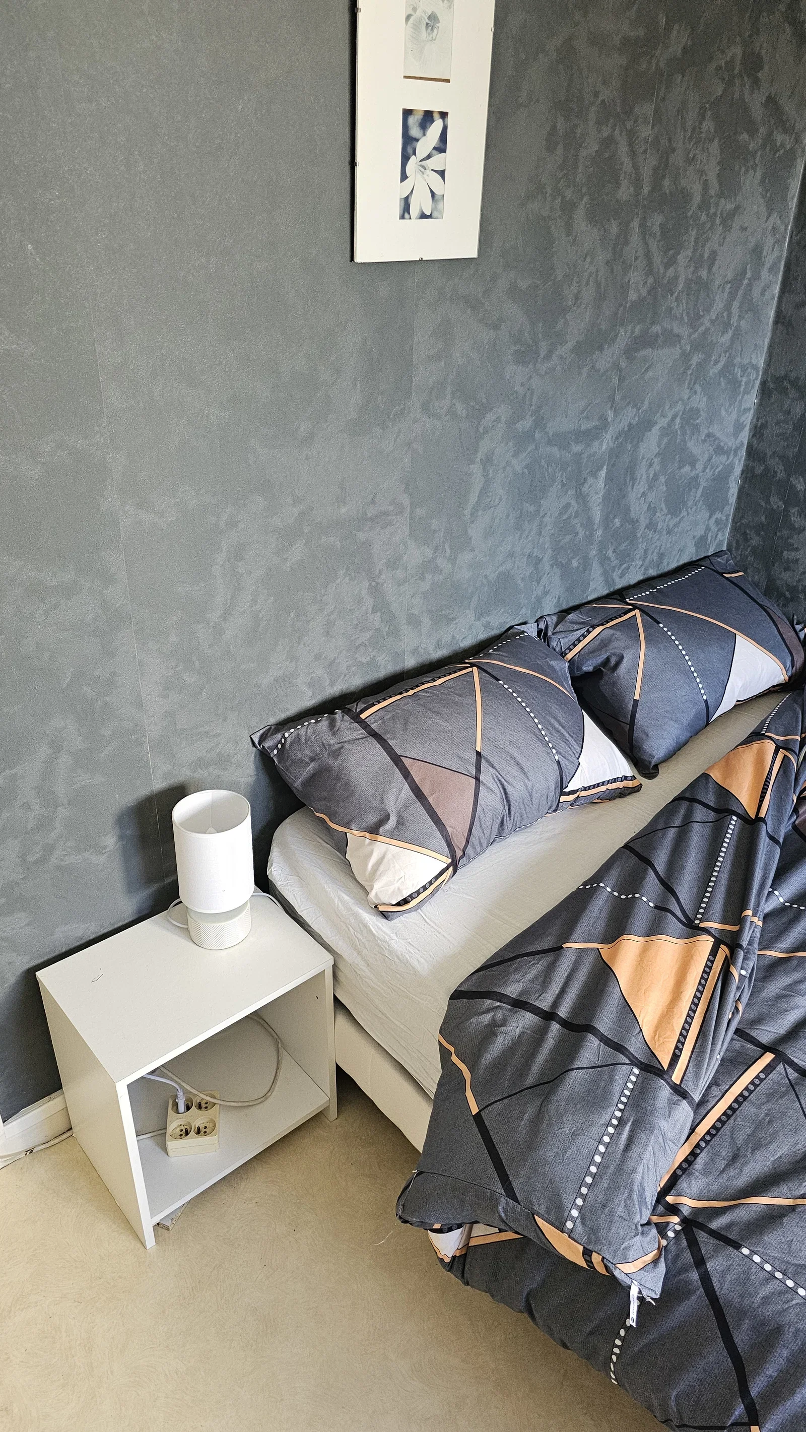 Chambre Rue Claude Fauriel à Toulouse
