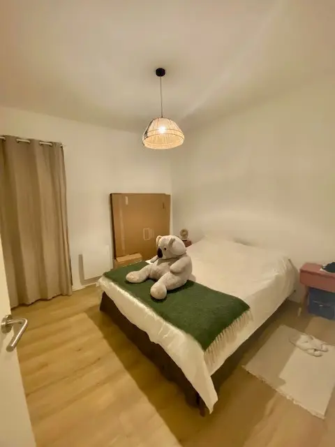 Flat Rue du Pont Guilhemery in Toulouse