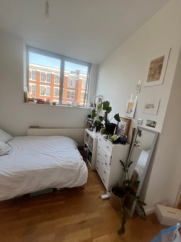 Room Shacklewell Lane in Greater London
