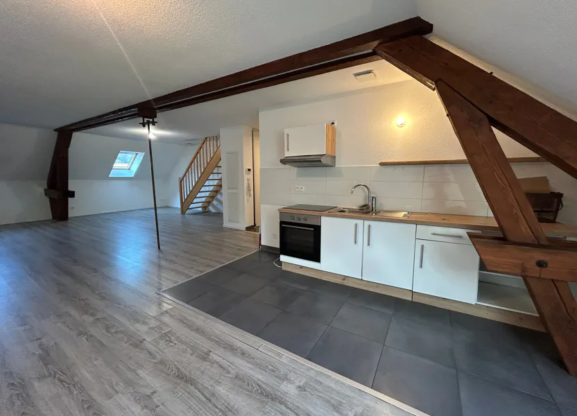 Appartement Grand'Rue à Rothau