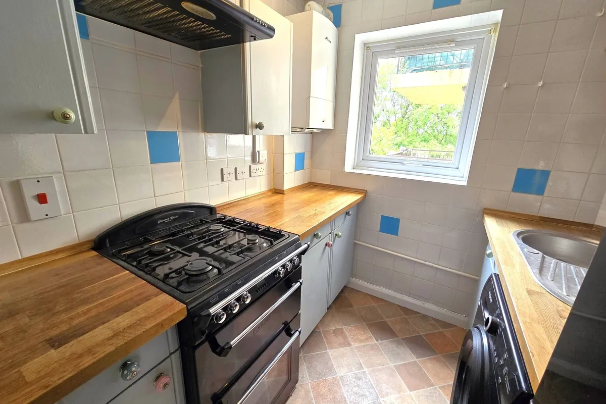 Flat Ninefields in Epping Forest
