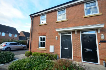 Flat Hornbeam Drive in Grimsby