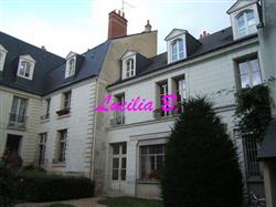 Flat Place Gaston Paillhou in Tours
