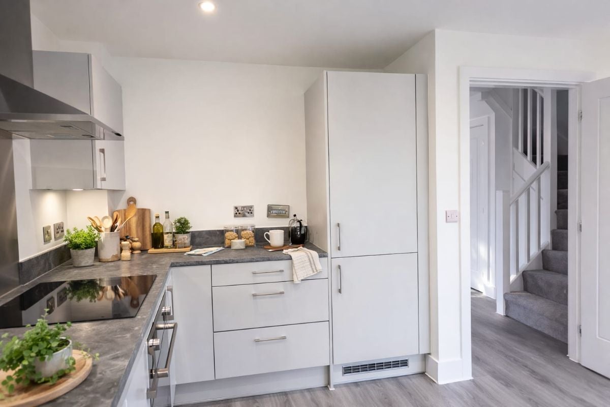 House Wagtail Way in Thetford