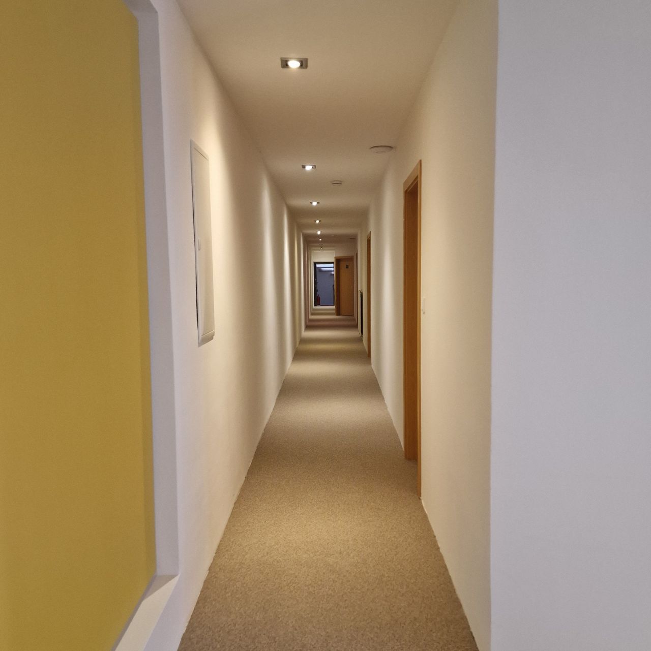 Wohnung Louisenstraße in Bad Homburg vor der Höhe