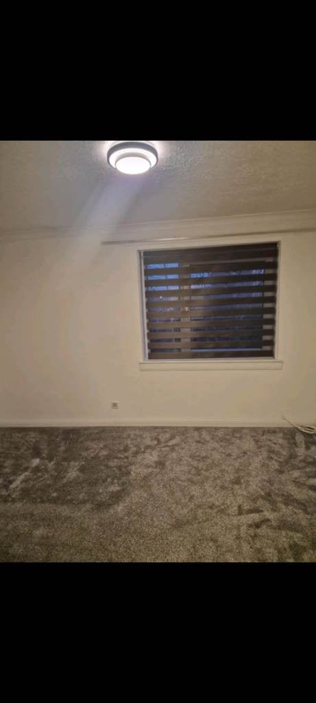 Flat Addie Street in Motherwell
