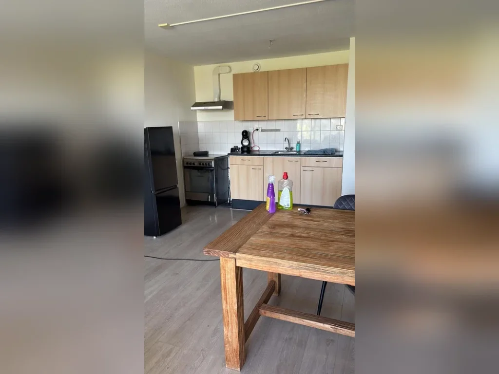 Appartement Democratenlaan 113 in Zwolle