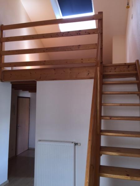 Flat Rue Mayen in Grenoble