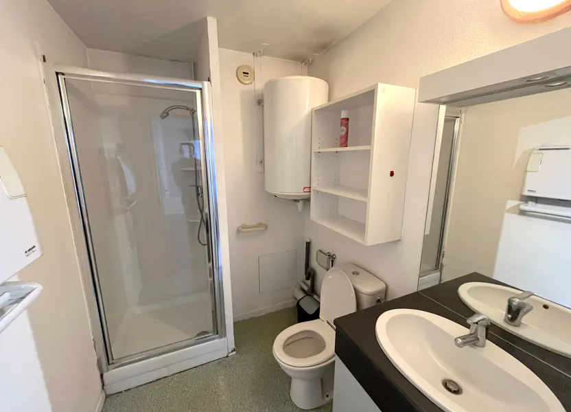 Appartement Rue Etienne Dolet à Lyon